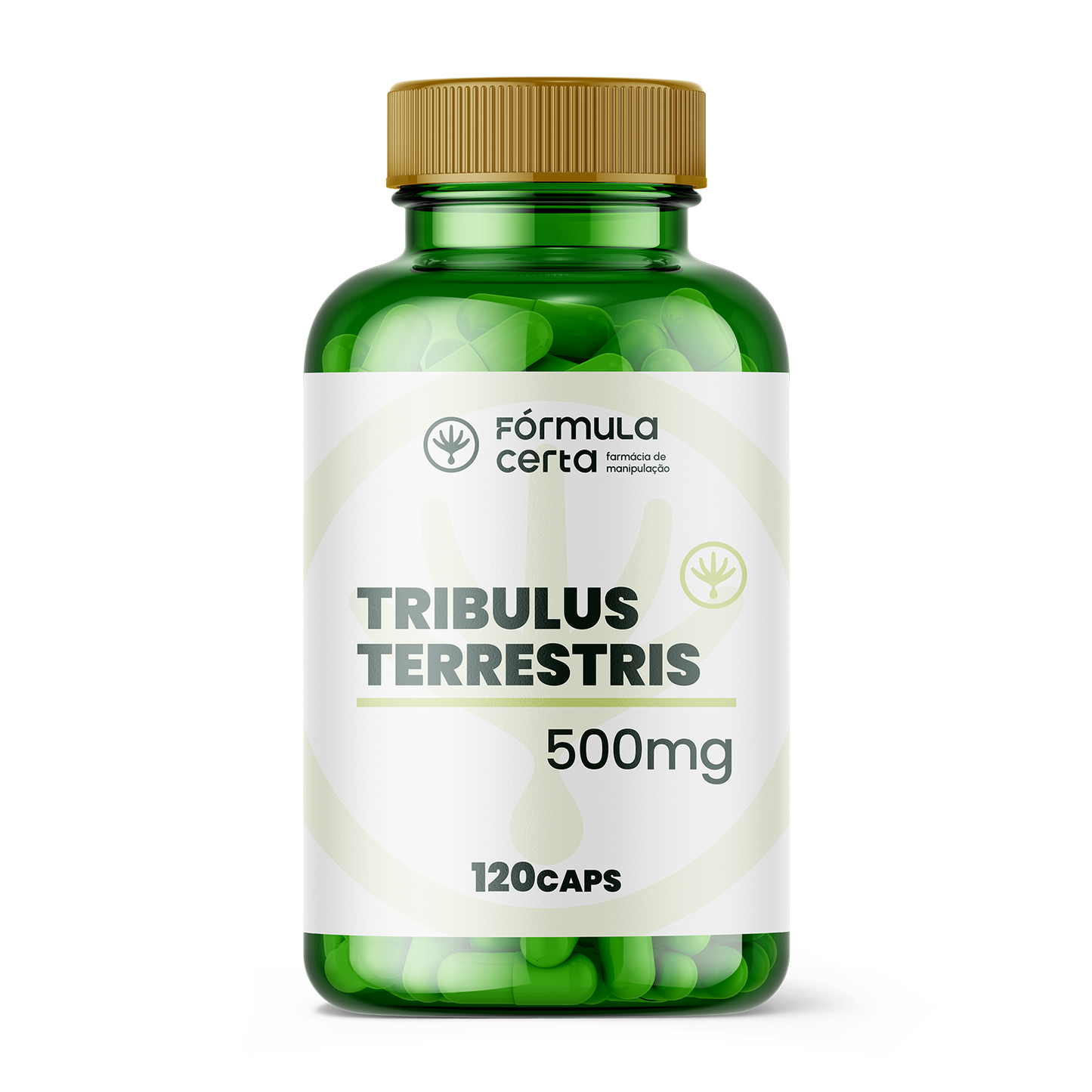 TRIBULUS TERRESTRIS 500 mg – Força, Vitalidade e Libido em Alta.