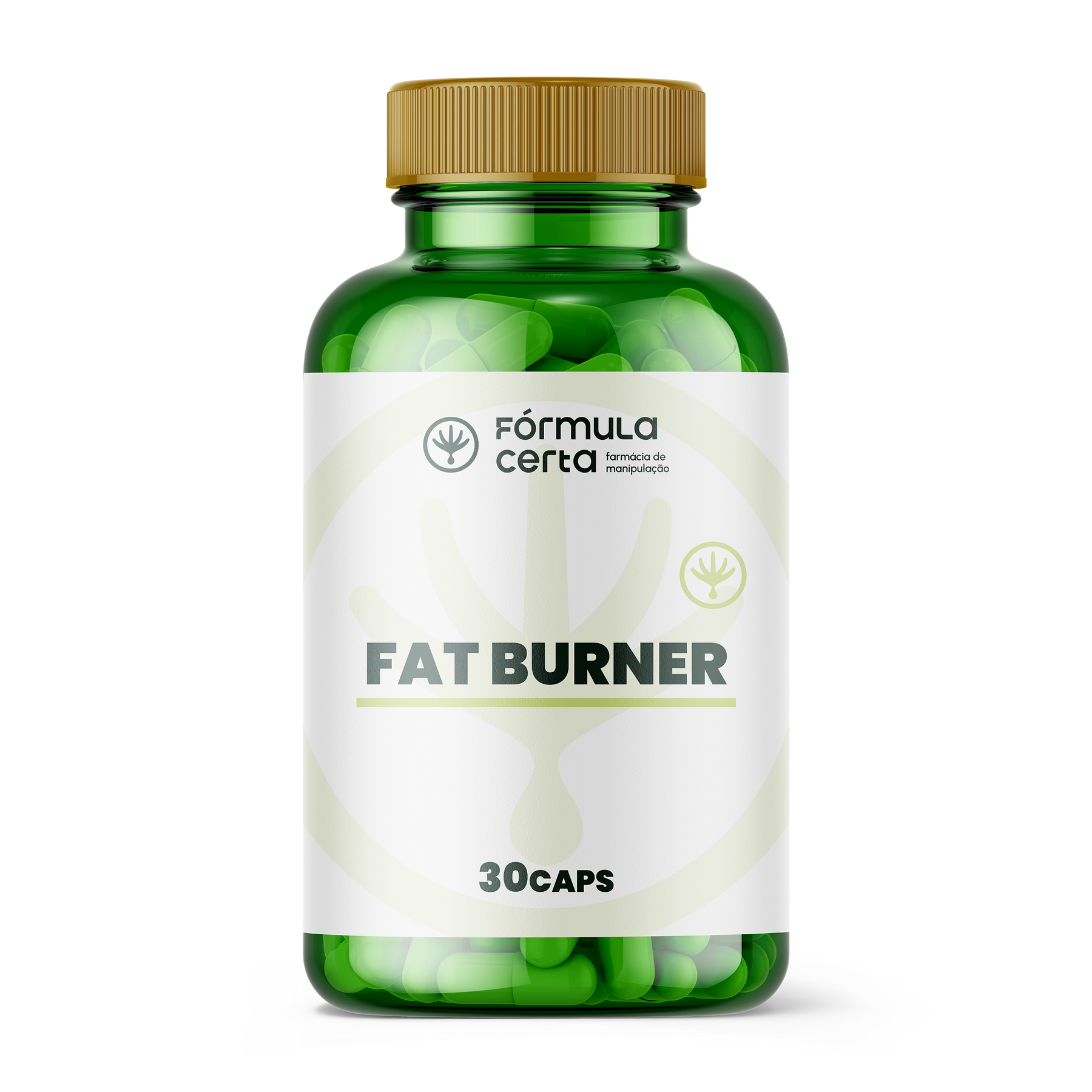 + Fat Burner 30 Doses